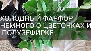 ХОЛОДНЫЙ ФАРФОР/НЕМНОГО О ЦВЕТОЧКАХ И ПОЛУЗЕФИРКЕ