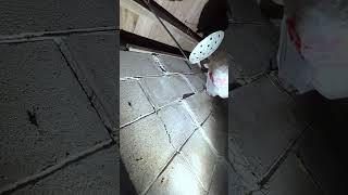 Why do you need a home inspection? foundation shearing