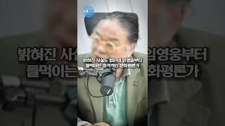 밝혀진 사실도 없는데 임영웅부터 들먹이는 충격적인 문화평론가