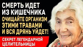 ВЫ АХНЕТЕ, КОГДА УЙДУТ ВСЕ БОЛЕЗНИ! Великая Целительница Марва Оганян об Очищение Организма Травами