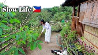 My everyday life living alone in the bamboo house