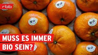 Sinnvoll oder nicht? Bio-Produkte im Test | Verbrauchermagazin | SUPER.MARKT