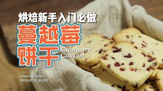 烘焙新手入门必做TOP .1，蔓越莓饼干，超简单！Cranberry Cookies【许许的美食手帐】