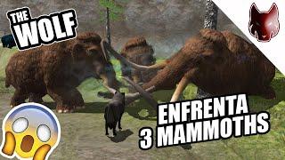 ¿El mejor JUGADOR de THE WOLF? | Enfrenta 3 Mammoths  - The Wolf Gameplay en Español