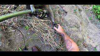 Wildlife control operator episode 1