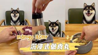 小狗发腮的秘诀是什么？沉浸式制作肉丸ASMR  #柴犬 #豆柴 #抖音 #柴犬可愛い