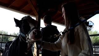 Parrish Community High School Agriculture Department Teaser