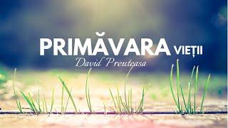 David Preuteasa - Primavara Vietii (Audio 2021)