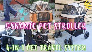 Top Rated 4-in-1 Pet Stroller for Traveling with Dogs and Cats | Petique's Dynamic Pet Stroller
