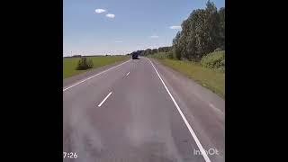 шустрик
