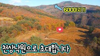 G1374(이만한 전망 더는 없습니다)해발560m 산자락 남향/청옥산600마지기 인근/나홀로 독립적인 급매물 토지/평창 미탄면소재지10분/급매물 3억9천/시골땅/싼땅/평창부동산매매