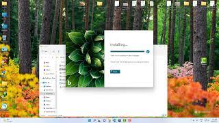 على وندوز11 Bing Wallpaper كيفية تثبيت