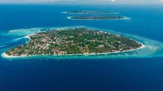 Kehidupan yang tersembunyi di bawah laut !! ikan nemo