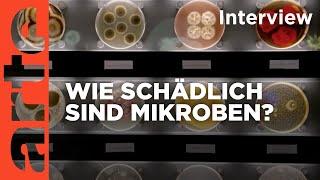 Die Macht der Mikroben | ARTE Info Plus