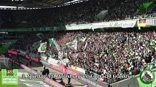 Saison 2024/2025 - 3. Spieltag VfL Wolfsburg vs. Eintracht Frankfurt