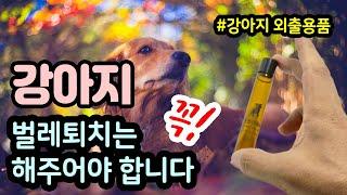 강아지 벌레퇴치 하는 방법 - 강아지 외출 시 [반려동물 정보]