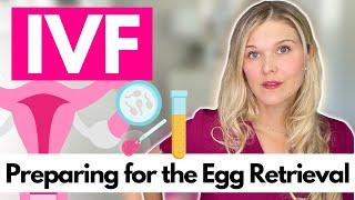 Egg Retrieval: What To Expect with IVF