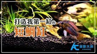 必生所學！用10分鐘得到一個「會生的」短鯛缸｜AC草影水族