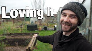 The Allotment in December | Christmas Gifts for my Plot | Keeping Busy