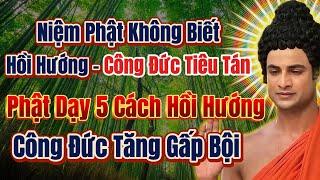 Phật dạy cách hồi hướng khi niệm Phật, công đức tăng gấp bội | Tịnh Tâm Pháp