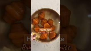 Pumpkin gummy dog treats recipe