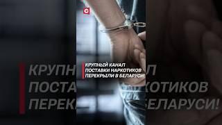 Крупный канал поставки психотропов перекрыли в Беларуси! #преступления #политика #милиция #новости