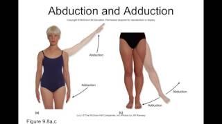 Chapter 9 Synovial Joint Movements Part2