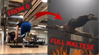 INCREDIBLE PLANCHE PROGRESSION - FROM 0 TO FULL MALTESE!! - 3 YEARS