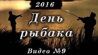 Рыбалка на севере Стофети и компания 2016 9