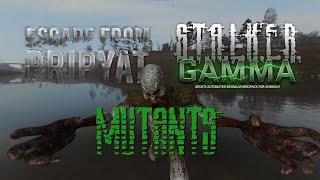 The Ultimate Mutant Guide | S.T.A.L.K.E.R. Anomaly, EFP and GAMMA