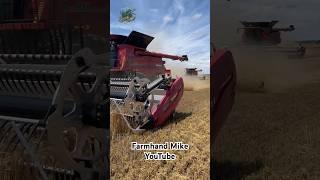 Wheat Harvest 2024 with Paplow Harvesting