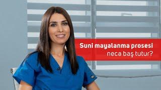 Süni mayalanmanın mərhələləri #EgeHospital #SüniMayalanma #Sonsuzluq #Hamiləlik