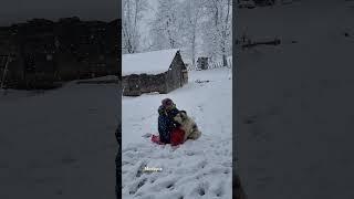 Early heaven heavy snow of October in talesh county, gilan, iran highlands,full of joy and beauty