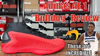 Adidas AE 1 "Bulldogs" Review - Best One Yet!!