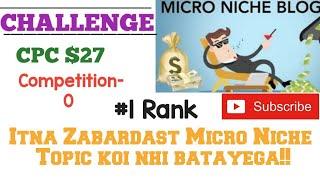 Super profitable and best micro niche topic for blogging 2020.Earn $10000 Adsense (CHALLENGE +PROOF)