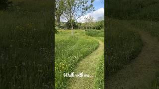 Walking Through an English Wildflower Meadow in Spring