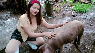 Piggy Are you ready? Roasted Pork | Miss Shirly