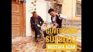 Mustafa Acar / Güvercinim Süt Beyaz