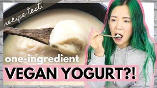 ONE INGREDIENT VEGAN YOGURT.... Does It Work?! (Cook With Me)