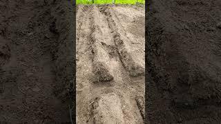 Putting Rows and traverse path in the garden #gardentherapy #gardening #gardentips #gardeningideas