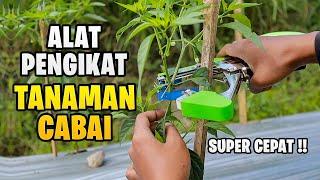 ALAT PENGIKAT TANAMAN CABAI SUPER CEPAT !