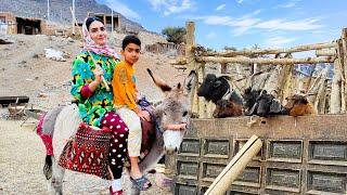 Village Lifestyle Iran: Amazing Cooking & Donkey Riding By A Girl