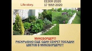 Миксбордер.  Раскрываю еще один секрет посадки цветов в миксбордере.  17 мая 2020
