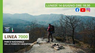 #LINEA7000 | Trekking sostenibile sul #SentieroItaliaCai: 2. Parco Nazionale Foreste Casentinesi