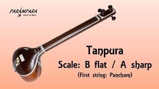 Tanpura B flat || A sharp