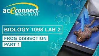 Biology Lab || Frog Dissection - Part 1