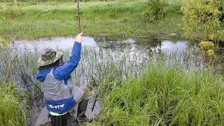 After the Storm, a Frenzied Bite. Fishing in June