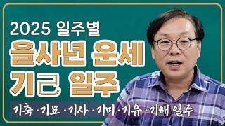 일주별 을사년 운세 - 기일주 (기축/기묘/기사/기미/기유/기해)