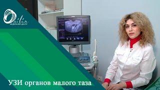 УЗИ органов малого таза.Медицинская клиника Оливия в Запорожье.