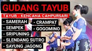 TAYUB - FULL ALBUM || KENCANA CAMPURSARI || HAJATAN EDY NUR